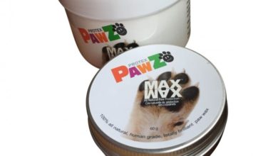 Collarways launches new paw care product Max Wax