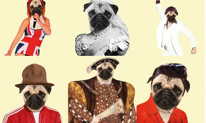 Rising ‘humanisation’ of pets boosts fashion and accessories