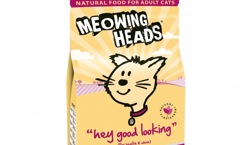 Meowing Heads and AATU win Cat Hampurr award