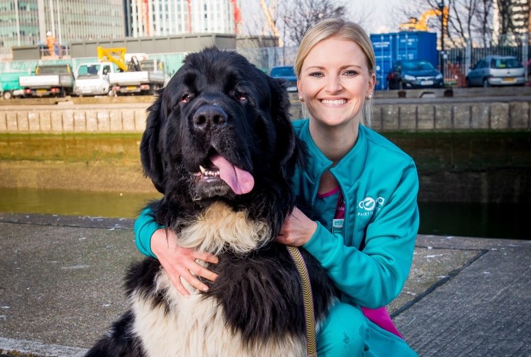 Life-saving dog awarded animals’ OBE