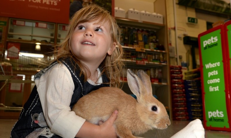 Pets at Home puts rabbit sales on hold for Easter