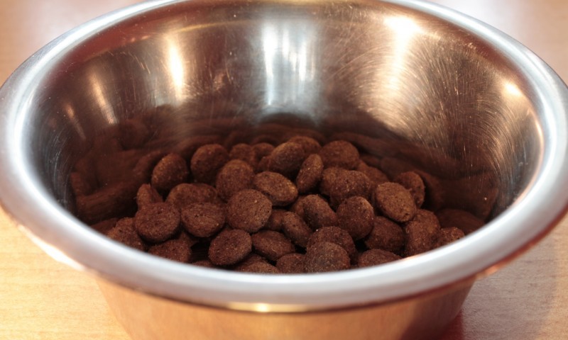 US and Europe dominate pet retail sales