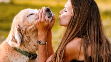Dog owners talk to their pet more than their partner