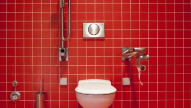 Thousands of deceased pets flushed away, says United Utilities