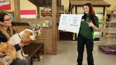 New research cracks canine conversation