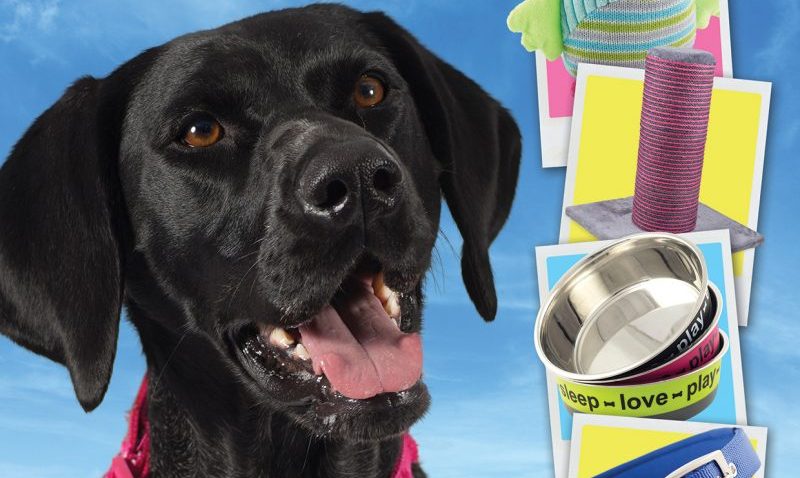 Ancol launches new trade catalogue