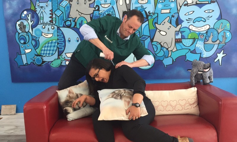 MedicAnimal to microchip all UK staff ahead of April 6 deadline