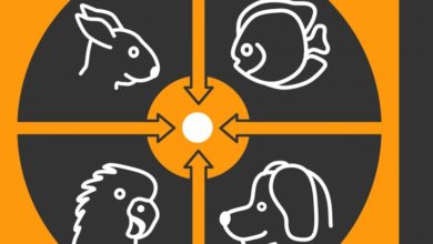 International Pet Conference will take place in Barcelona