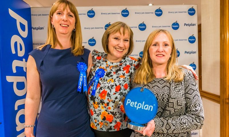 Petplan and ADCH Animal Charity Award winners announced
