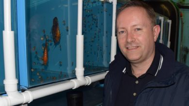 World Feeds Ltd appoints fish specialist
