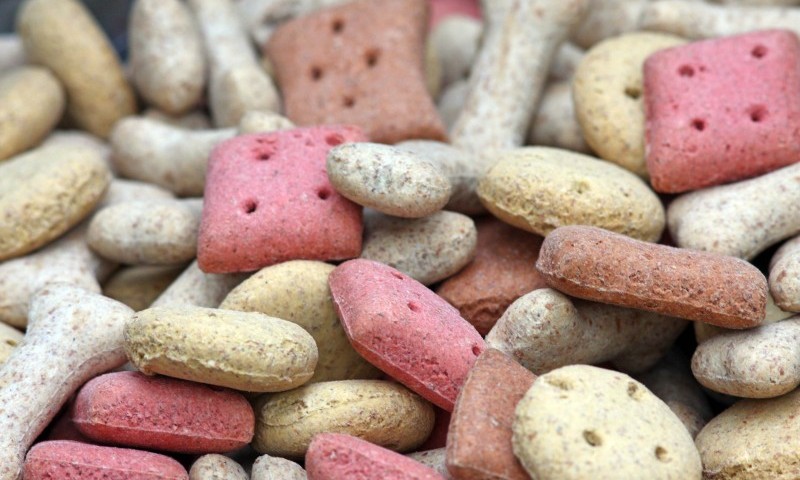 Global pet food market set to expand