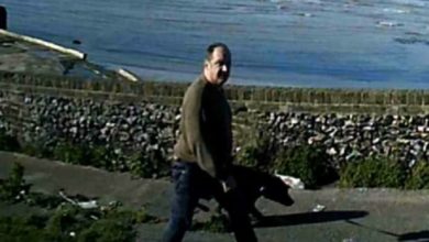RSPCA releases video of man punching dog