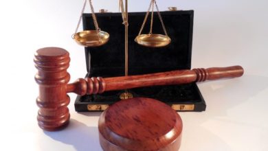 Trader guilty of selling unlawfully imported puppies