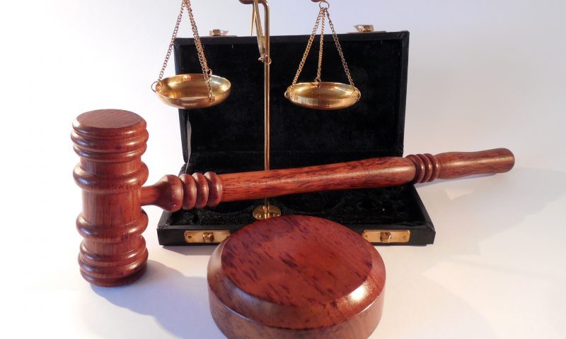 Trader guilty of selling unlawfully imported puppies