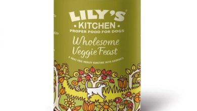 Lily’s Kitchen launches new vegetarian recipe