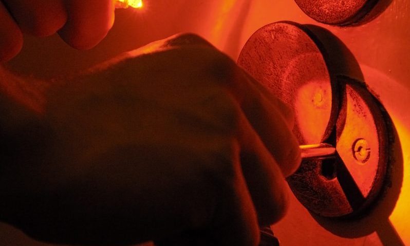 Pet shop targeted by thieves