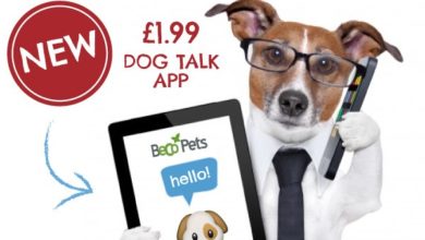 UK pet firm launches ‘Dog Talk’ phone app