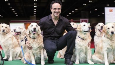 National Pet Show takes place on May 7-8