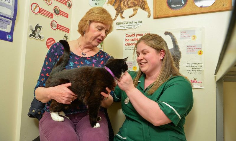 Overweight pets helped by Northwich vets