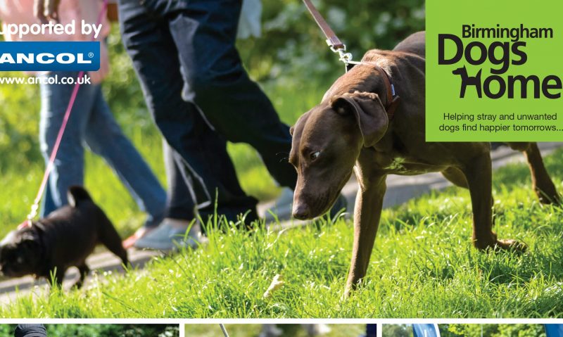 Ancol sponsors Birmingham Dogs Home’s event