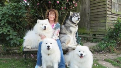 AmPet Products appoints new national account manager