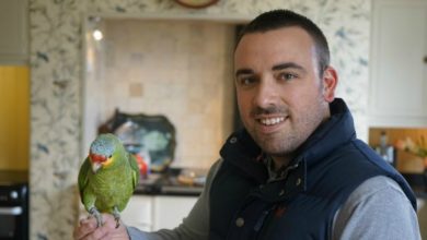 Peewee the parrot and Kirk Rothwell film Bucktons’ bird care guides