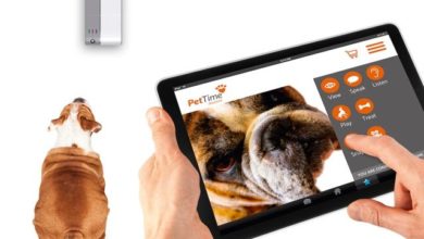 Tech company helps retailers capitalise on new trend