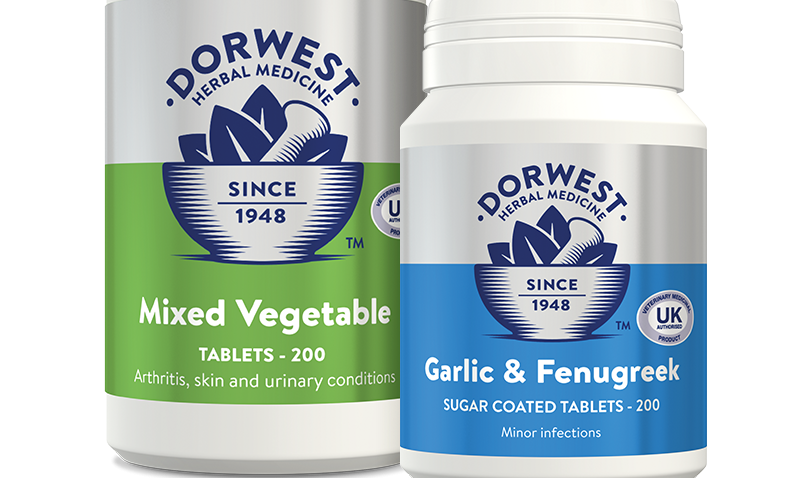 Dorwest supports itchy dogs with skin campaign