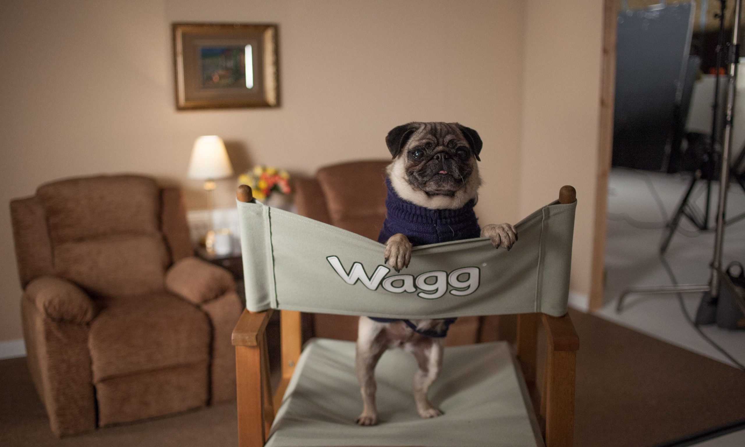 Wagg Foods invests in Gogglebox-style campaign