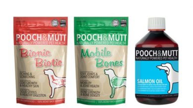 Pooch and Mutt Dogs