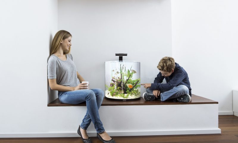 Pets help to ease children’s stress