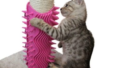 Igloo Pet Products Ltd launches with new investment