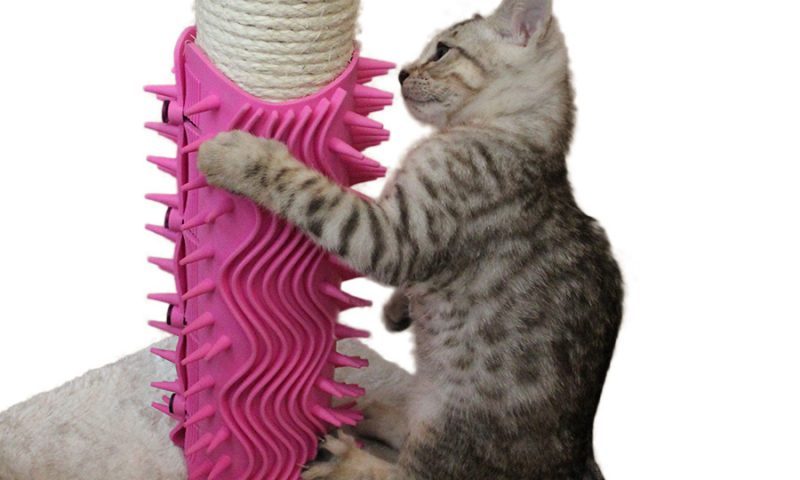 Igloo Pet Products Ltd launches with new investment