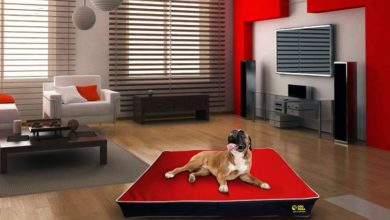 GB Pet Beds launches new website and two new dog bed brands