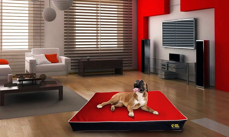 GB Pet Beds launches new website and two new dog bed brands