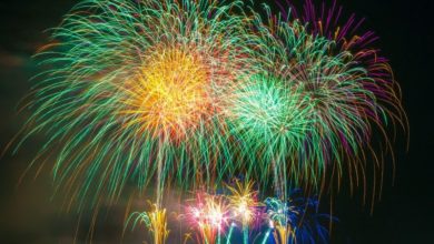 Fireworks spark parliamentary debate
