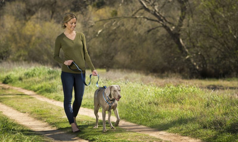 The Company of Animals launches new walking range