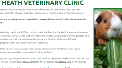 Heath Veterinary Clinic remodels website