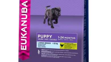 Eukanuba, puppy