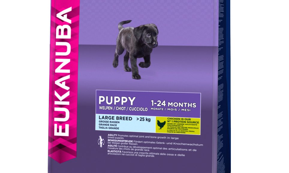 Eukanuba, puppy