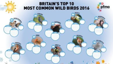 PFMA launches wild bird pack for children