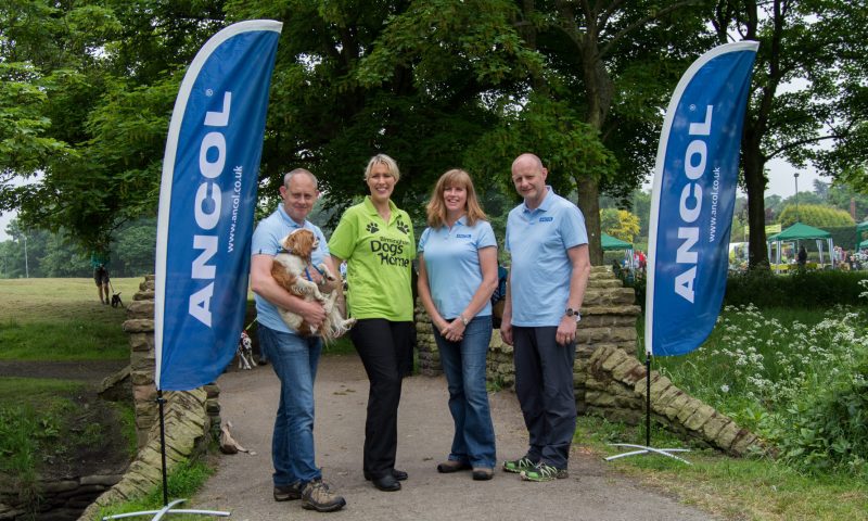 Walk in the Park raises over £2,000 for Birmingham Dogs Home
