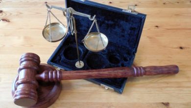 Unlicensed pet trader forced to pay back benefits