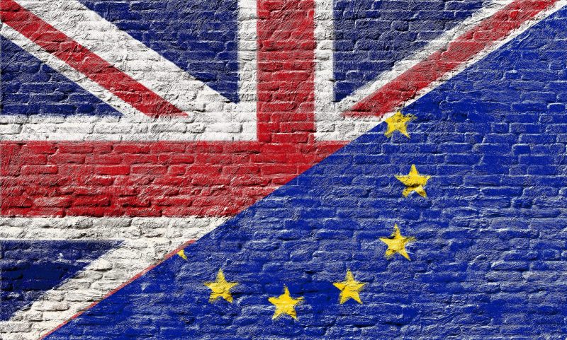 EU Referendum PetQuip