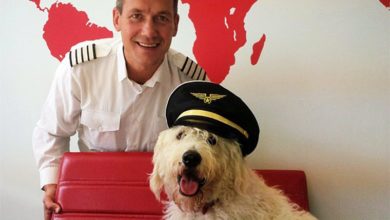 Just two weeks till Bring Your Dog To Work Day