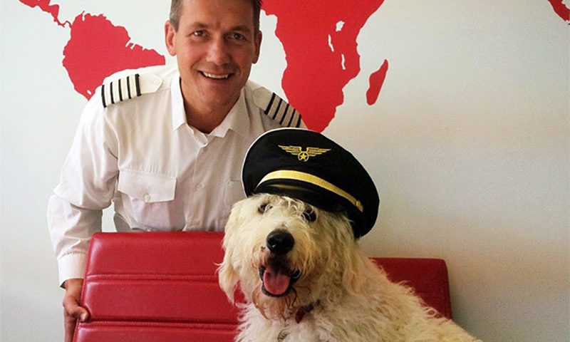 Just two weeks till Bring Your Dog To Work Day