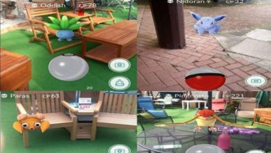 Garden Centre embraces Pokémon Go craze