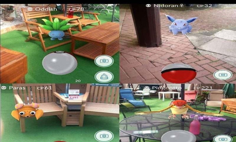 Garden Centre embraces Pokémon Go craze