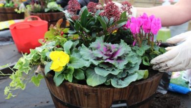 Garden centre holds workshops for adults