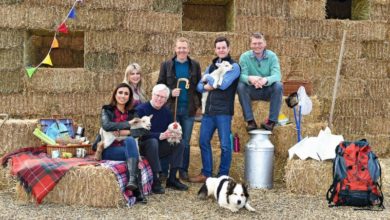 Pet charity debuts at BBC Countryfile Live